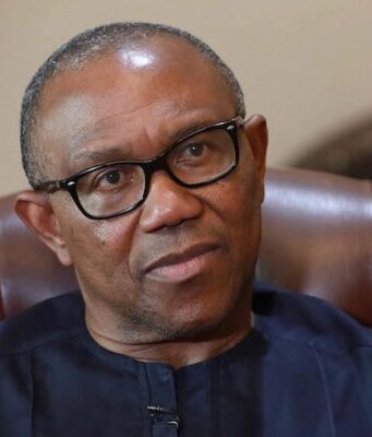 Presidency Fires Back at Peter Obi, Labels Call for Tinubu’s Resignation ‘Childish’ and ‘Anti-Democratic’