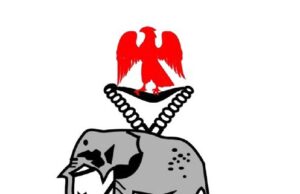 Police Debunk Viral Katsina ‘Bandit’ Video, Say Armed Men Are Registered Vigilantes Supporting Security Operations