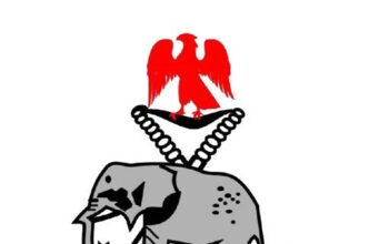 Ogun Police Debunk ‘Bandits in Forest’ Video, Say Footage Is Foreign and Misleading