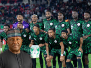 BUA Boss Pledges Big Bonuses for Super Eagles After Quarter-Final Triumph