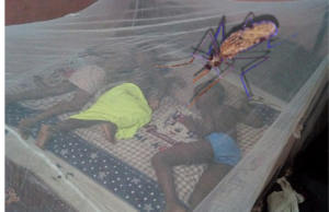 Senate Passes Bill to Create National Agency for Malaria Elimination