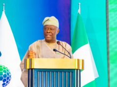 Nigeria Targets 7% GDP Growth, Eyes $14bn Annual Investment — Edun