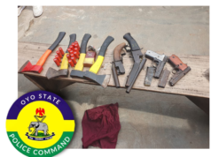 Police Bust Alleged Cult Meeting at Ibadan Poly, Arrest 16, Recover Guns, Charms