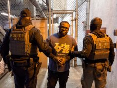 ICE Arrests Nigerian Man, Moves to Deport Over Sex Offence Allegations