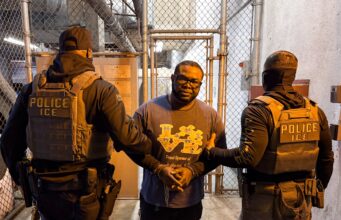 ICE Arrests Nigerian Man, Moves to Deport Over Sex Offence Allegations