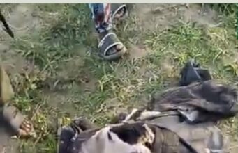 Elephant Rampage in Oyo Leaves One Dead, Another Missing