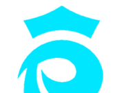 French Women’s Football Stars Call for Urgent Labour Agreement