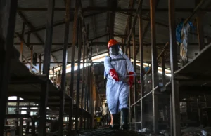 Panic in Congo as Angry Residents Burn Ebola Clinic, 18 Suspected Patients Flee Amid Escalating Outbreak