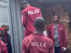 NDLEA Intercepts Cocaine Hidden in Cloth Cartons Bound for UK, Australia, Destroys 65,000kg of Skunk