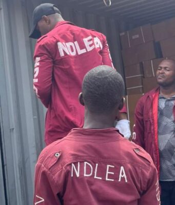 NDLEA Intercepts Cocaine Hidden in Cloth Cartons Bound for UK, Australia, Destroys 65,000kg of Skunk