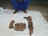 Delta Police Nab Suspected Kidnapper, Recover AK-47 Rifles, Ammunition