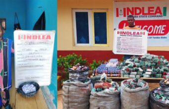 NDLEA Seizes 320,840 Tramadol Capsules Hidden in Building Materials, Arrests 75-Year-Old Drug Dealer, Female Traffickers