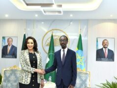 Nigeria, Ethiopia Sign Prisoner Transfer Deal as Ojukwu Announces Repatriation of Nigerian Inmates