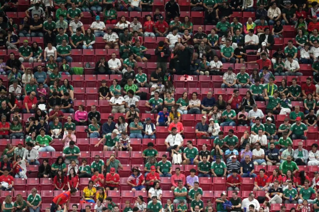 world cup crowd