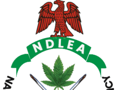 NDLEA Declares Four Wanted Over Imo Meth Lab, Freezes ₦9.84bn