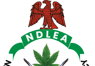 NDLEA Declares Four Wanted Over Imo Meth Lab, Freezes ₦9.84bn