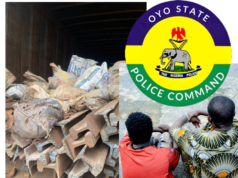 Oyo Police Bust Railway Vandalism Syndicate, Recover Stolen Rail Tracks Worth ₦200m