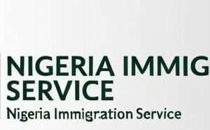 Nigeria Suspends Visa Application Centre Services in US