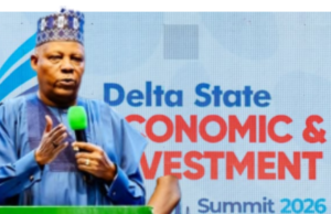 Shettima Urges States to Compete for Investments, Jobs as Delta Hosts Economic Summit