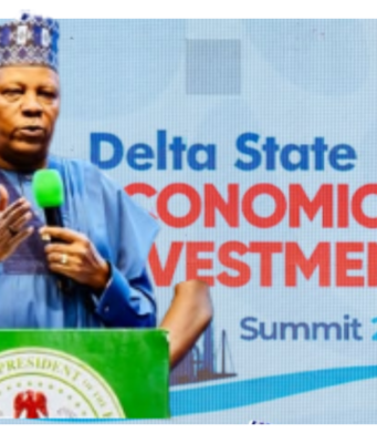 Shettima Urges States to Compete for Investments, Jobs as Delta Hosts Economic Summit